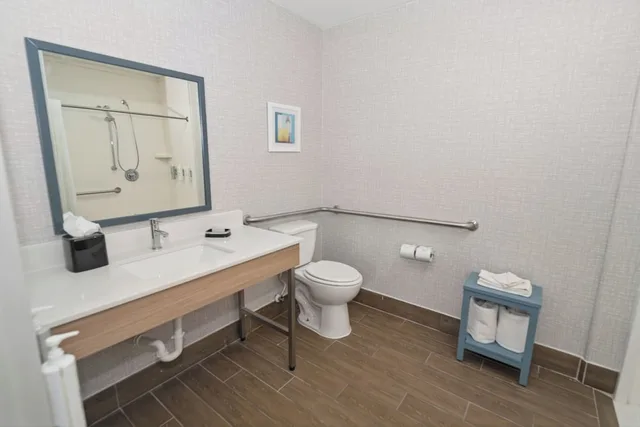 Studio, Suite, King Bed, Sofa, Accessible, Hampton Inn & Suites Pharr, TX 8/10