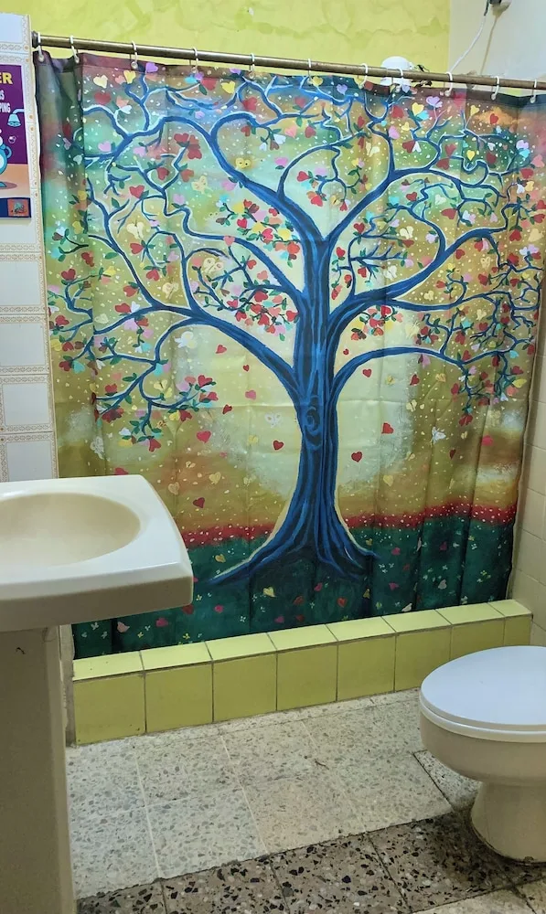 1 Bedroom, Mixed Dorm, Traditional, 10 Beds، Tamarindo hostel 1/1