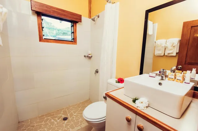 Bure, Tropical، Koro Sun Resort 2/2