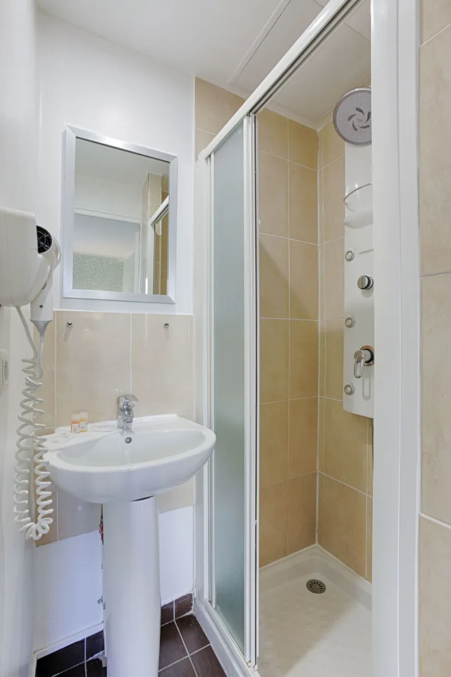 غرفة بزنس بسرير فردي، Hotel Avama Prony 5/7