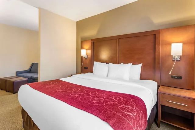 جناح بسرير كينج مع أريكة، Comfort Suites South Point Huntington 3/8