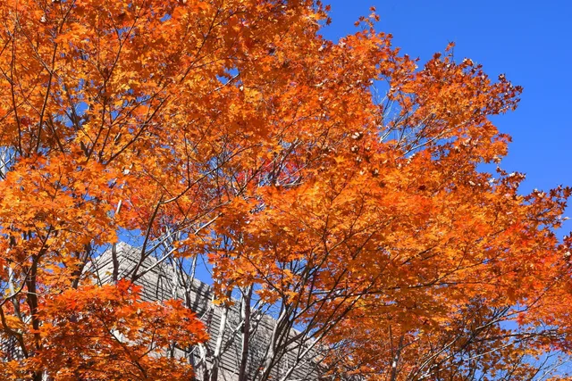 Suite, Quadruple, Mountain View, Outdoor Bath، Karuizawa Club Hotel Karuizawa 1130 1/2
