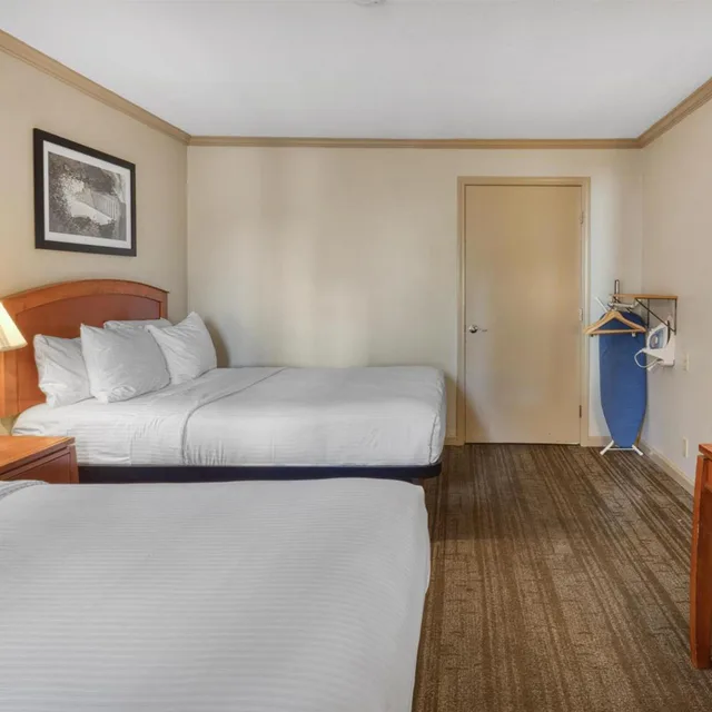 غرفة بسريرين كوين لذوي الإعاقة، Surestay Plus Hotel By Best Western Mountain View 5/10