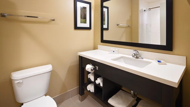 جناح بسرير كينج، Best Western Plus New Orleans Airport Hotel 3/3