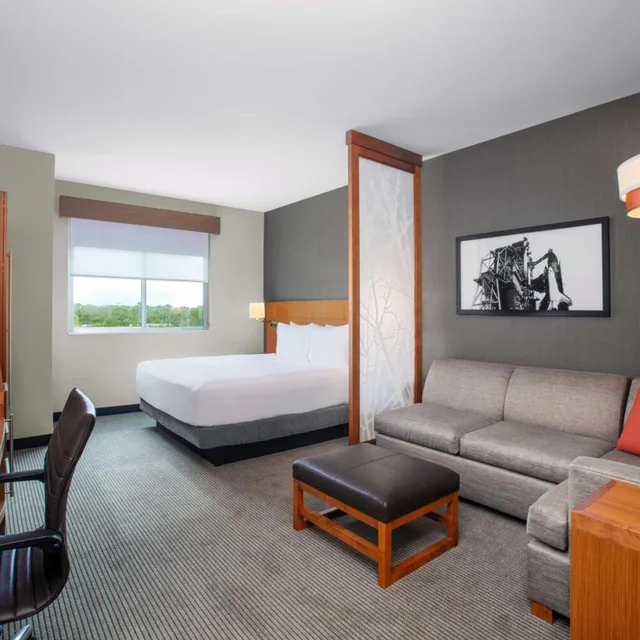 غرفة بسرير كينج بإطلالة مع أريكة بحوض استحمام لذوي الإعاقة، Hyatt Place Titusville / Kennedy Space Center 3/3