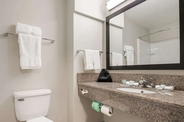 Flat, King Bed، Best Western Nsu Inn 4/4