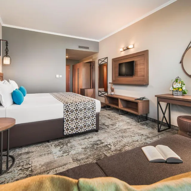 Deluxe, Twin Beds, Street View, Balcony, Pool Access، Alba 8/10