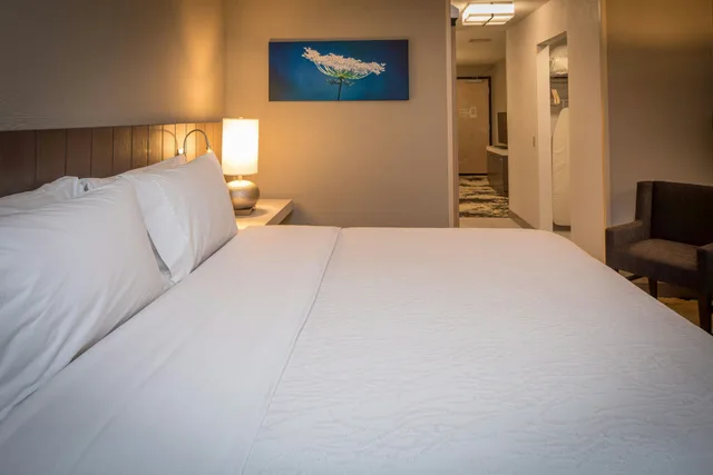 غرفة بسرير كينج لذوي الإعاقة، HILTON GARDEN INN PITTSBURGH AIRPORT 3/7