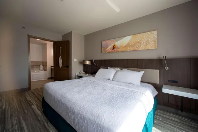 جناح رئاسي بسرير كينج بغرفة نوم واحدة، Hilton Garden Inn Rapid City 1/4
