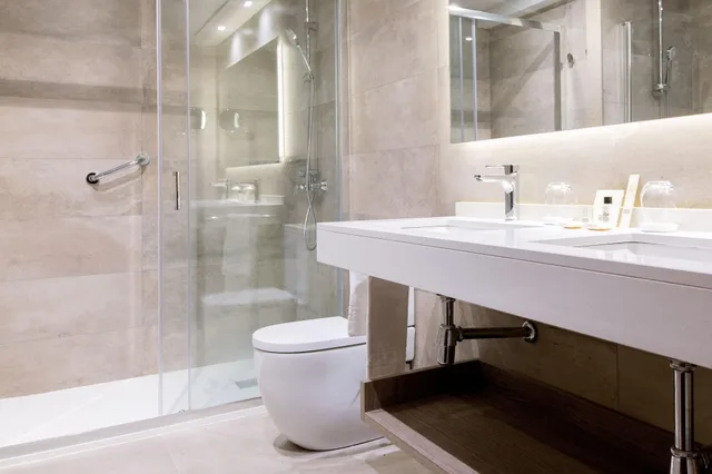 Renovated, Superior, Family, with View، El Avenida Palace 5/5