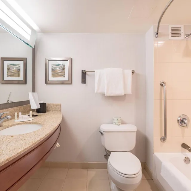 غرفة بسرير كينج مع أريكة بحوض استحمام لذوي الإعاقة، Courtyard Silver Spring Downtown 5/6