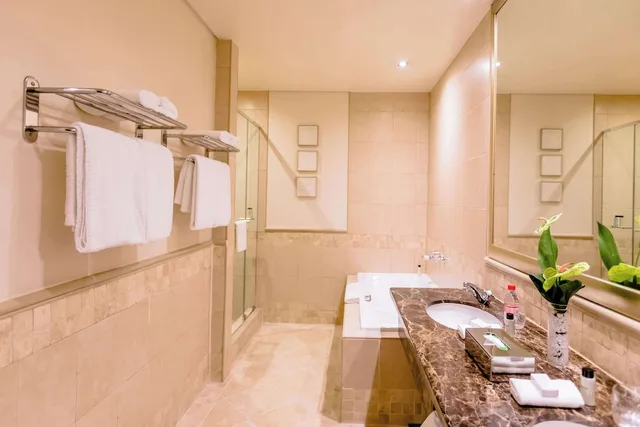 غرفة بريميوم تنفيذية بسرير كينج، Southern Sun Sandton 5/5