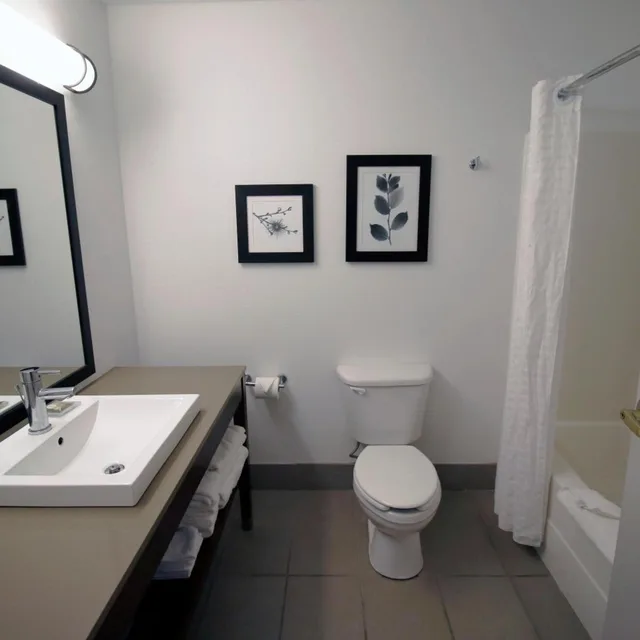 استوديو بسرير كينج مع أريكة، Country Inn and Suites by Radisson Council Bluffs IA 4/5