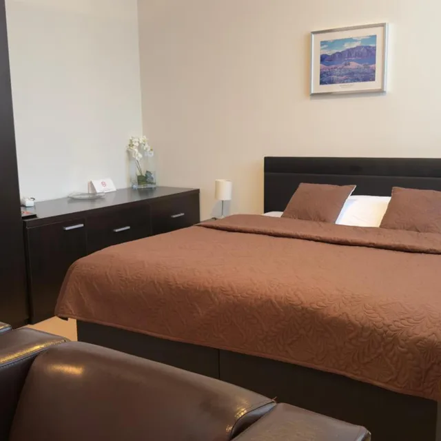 غرفة بزنس مفردة، Aston Business Hotel 2/5