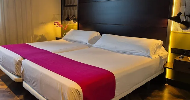 غرفة سوبيريور بسريرين منفصلين بحوض جاكوزي، Hotel Vertice Aljarafe 1/10