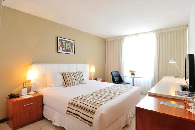 غرفة ديلوكس بسرير مزدوج بإطلالة على المدينة، Real Colonia Hotel and Suites 1/1
