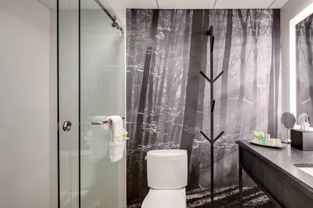 Loft, Suite، Peaks Hotel & Suites 4/7