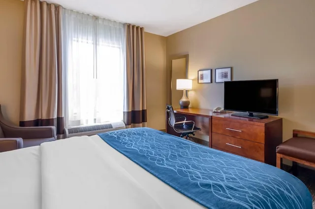 غرفة قياسية بسرير كينج، Comfort Inn & Suites Lynchburg Airport - University Area 2/10