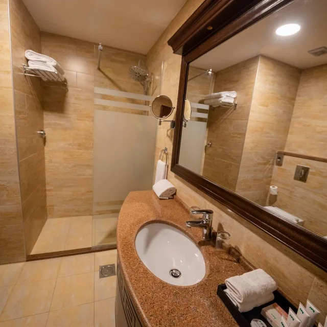 غرفة قياسية مفردة، Petra Canyon Hotel Petra 7/9