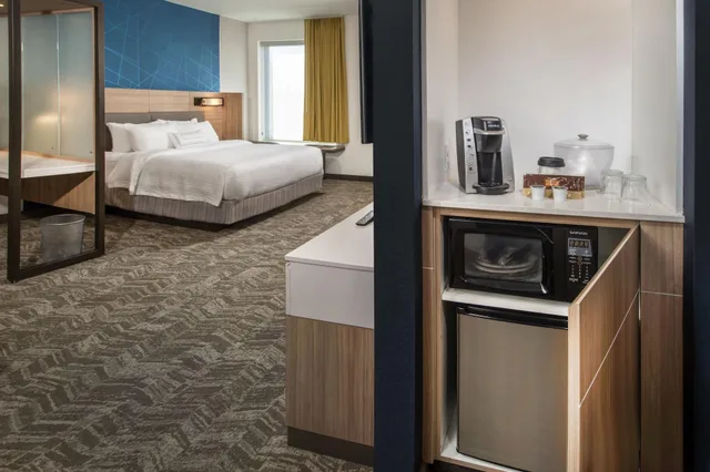 Suite, Multiple Beds, Accessible، Hotel Springhill Suites By Marriott Gainesville Haymarket 4/4
