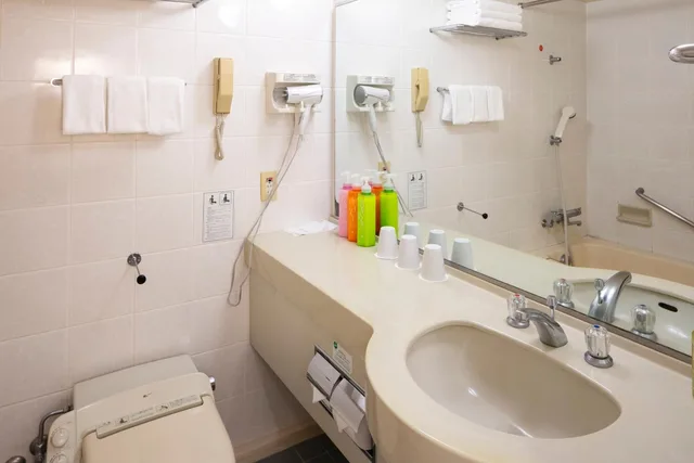غرفة صغيرة بسرير مزدوج، Narita Gateway Hotel 5/6