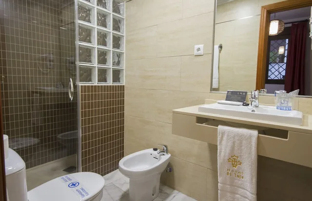 غرفة قياسية مفردة بسرير فردي، Hotel El Tajo and Spa 7/8