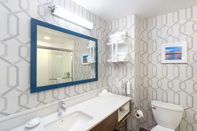 غرفة بسرير كينج مع أريكة، Hampton Inn Buffalo South I 90 4/5
