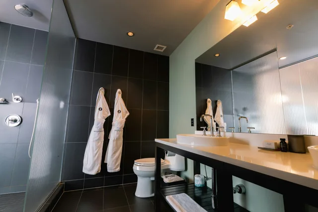 لوفت بريميوم بسريرين كوين، The Iron Horse Hotel 2/2