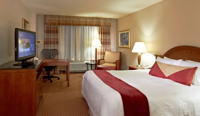 غرفة كومفورت بسرير كينج لذوي الإعاقة، Hilton Garden Inn Denver Airport 1/6