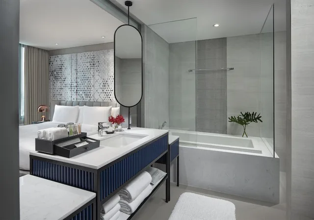 Deluxe Skyline King، Avani Sukhumvit Bangkok 6/6