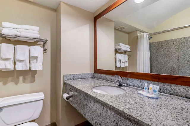 غرفة بسرير مزدوج، Comfort Inn and Suites Seguin, TX 4/4