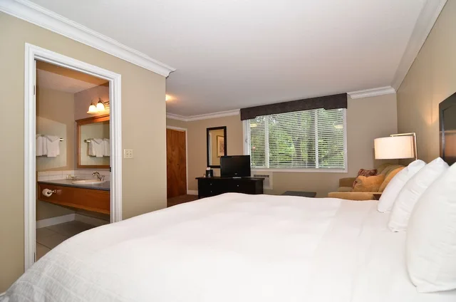 غرفة ديلوكس بسرير كينج، Regent Hotel 2/10