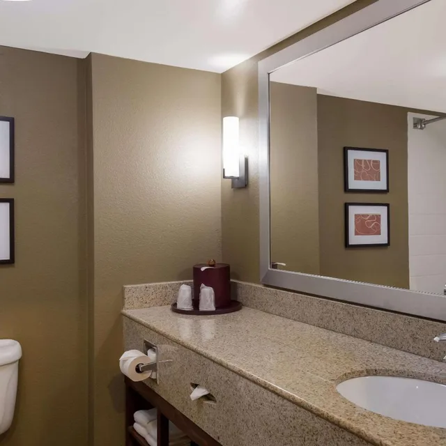 غرفة بسرير كينج، Comfort Suites Near University 4/5