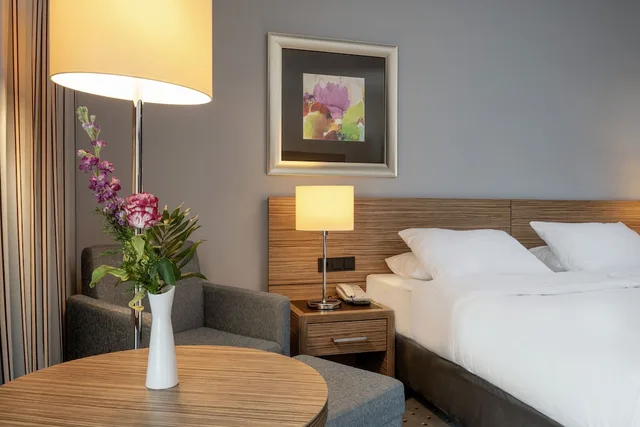 غرفة سوبيريور بسرير مزدوج، Maritim Hotel Darmstadt 5/9