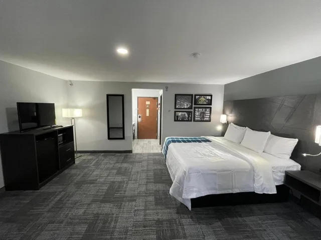 جناح استوديو بسرير كينج مع أريكة، La Quinta Inn By Wyndham Indianapolis Airport Executive Drive 1/3