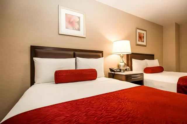غرفة تنفيذية بسرير مزدوج، The Belvedere Hotel 1/1