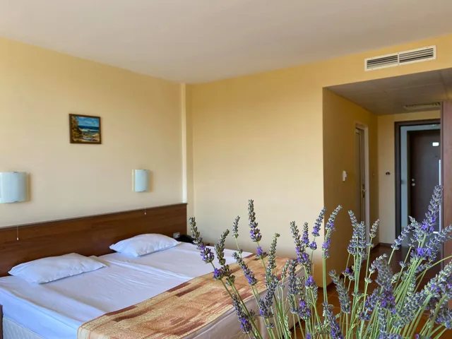 غرفة قياسية بسرير كوين، Plamena Palace 1/3