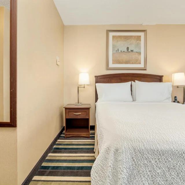 غرفة قياسية بسرير مزدوج، Holiday Inn Conference Ctr Edmonton South 1/2