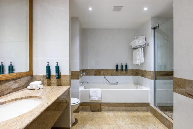 غرفة تنفيذية مفردة، Hilton Paris Charles De Gaulle Airport 16/16