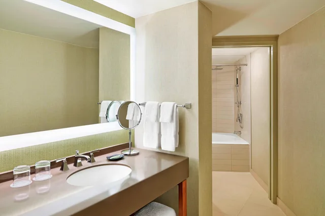 Deluxe, 2 Double Beds, Bay View، The Westin San Diego Bayview 6/7