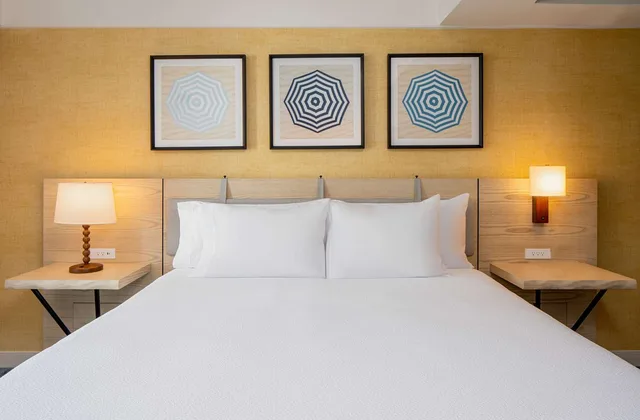 Studio, Suite, King Bed, Coast View، Hilton Garden Inn Dana Point Doheny Beach 1/2