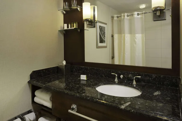 غرفة ديلوكس بسرير كينج مع أريكة، DoubleTree by Hilton Williamsburg 5/9