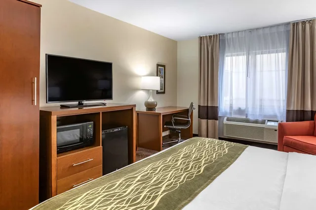 غرفة بسرير كينج، Comfort Inn Okemos - East Lansing 2/3