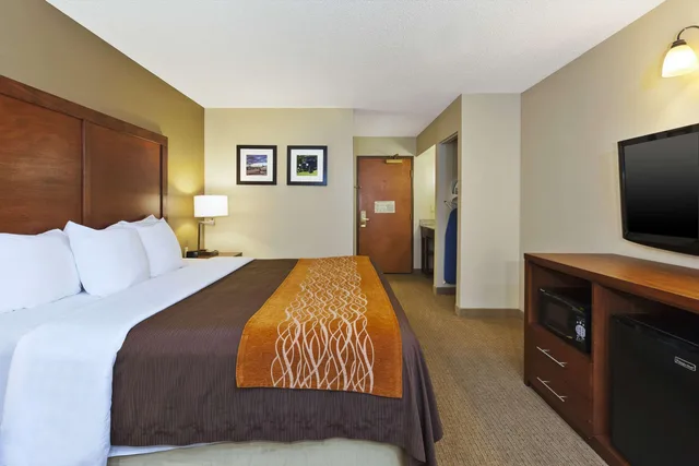 Room, King Bed, Comfort Inn & Suites Taylor - Detroit 1/10