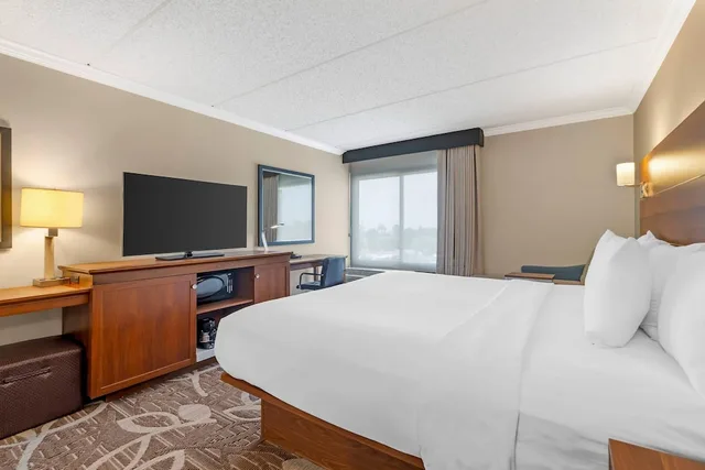 غرفة بسرير كينج بحوض استحمام لذوي الإعاقة، Comfort Inn Anaheim Resort 6/10