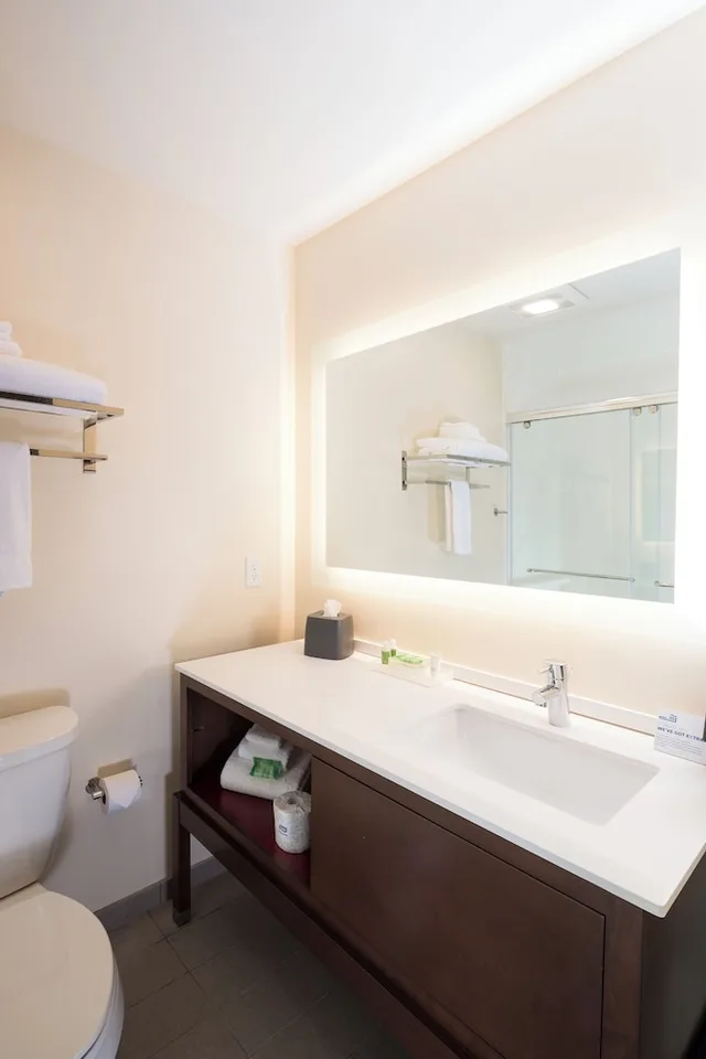 غرفة قياسية بسرير كينج لذوي الإعاقة، Holiday Inn Kalamazoo West 5/7