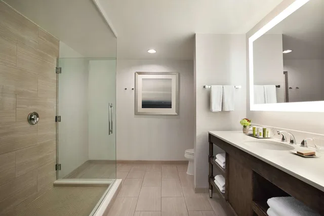جناح بسرير كينج بغرفة نوم واحدة مع أريكة، Hilton New Orleans/St. Charles Avenue 2/2