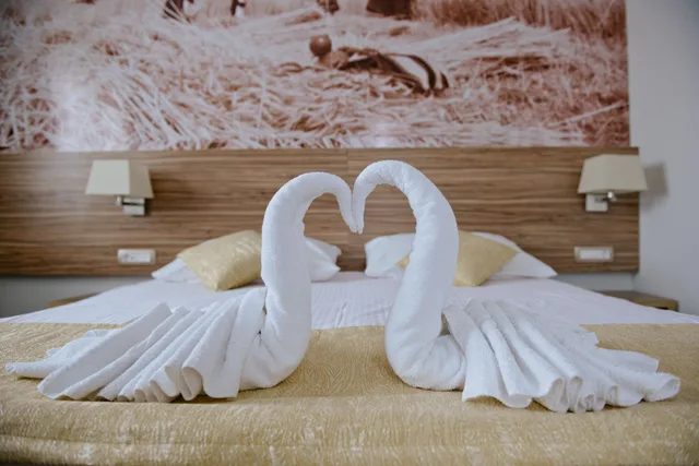 غرفة قياسية بإطلالة على المدينة مفردة بسرير فردي، Medjugorje Hotel Spa 8/9