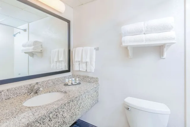 غرفة بسرير كينج، La Quinta Inn & Suites by Wyndham Clifton/Rutherford 2/2