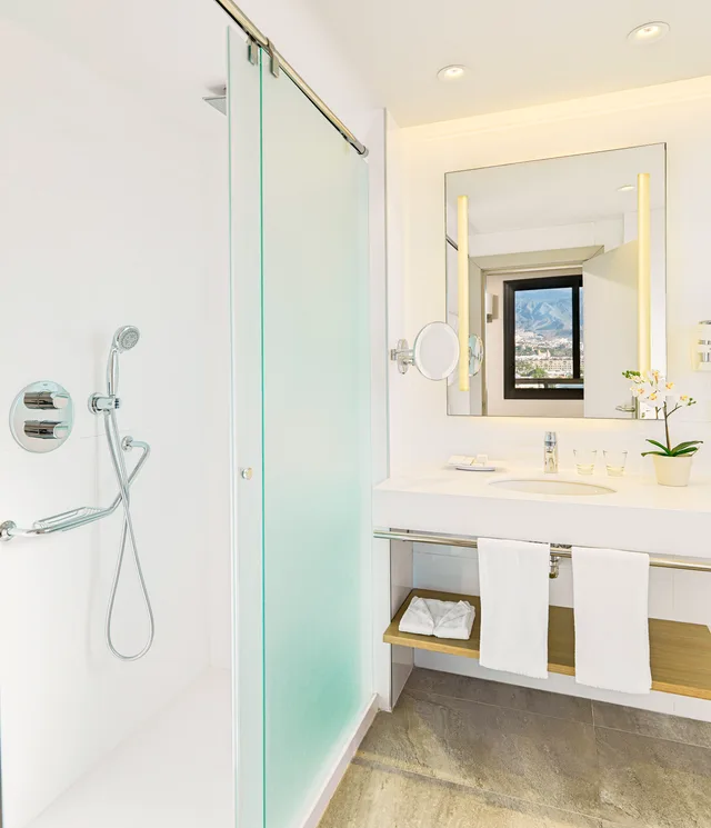 Standard, Double or Twin Bed, Spring Hotel Bitacora 2/2